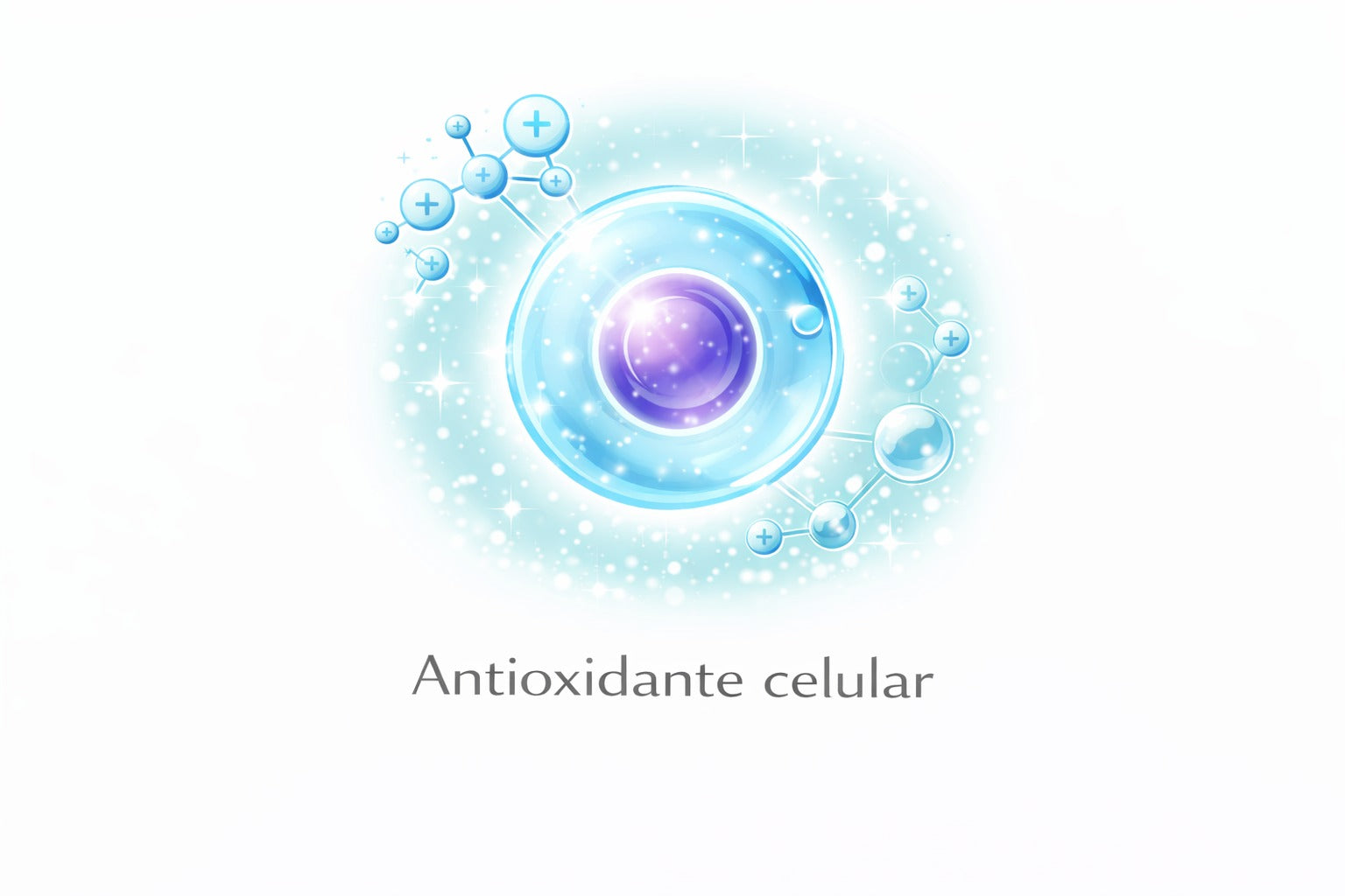 Protección antioxidante