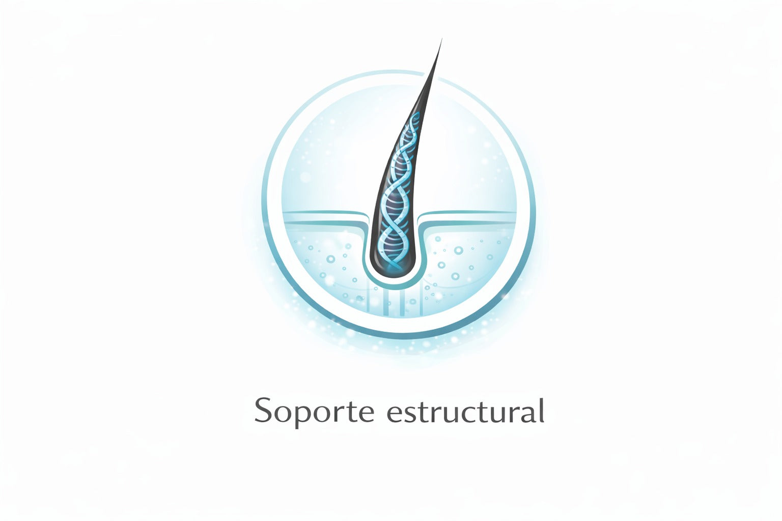 Soporte estructural